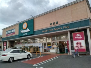 【ドラッグストア】ププレひまわり中庄店 964m 周辺環境
