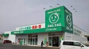 【ドラッグストア】ザグザグ水江店 1095m 周辺環境