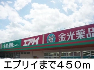【ドラッグストア】エブリィ 450m 周辺環境