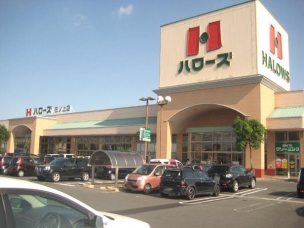 【スーパー】ハローズ田ノ上店 1050m 周辺環境