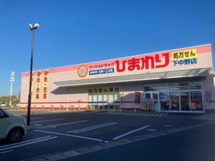 【ドラッグストア】フード&ドラッグひまわり下中野店 565m 周辺環境