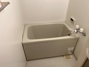 バス